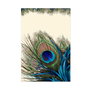 Mijölnir Juego de alfombrillas de baño Kt410 Multicolor
